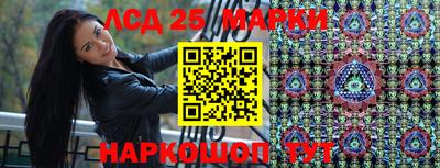 гидропоника Волжск