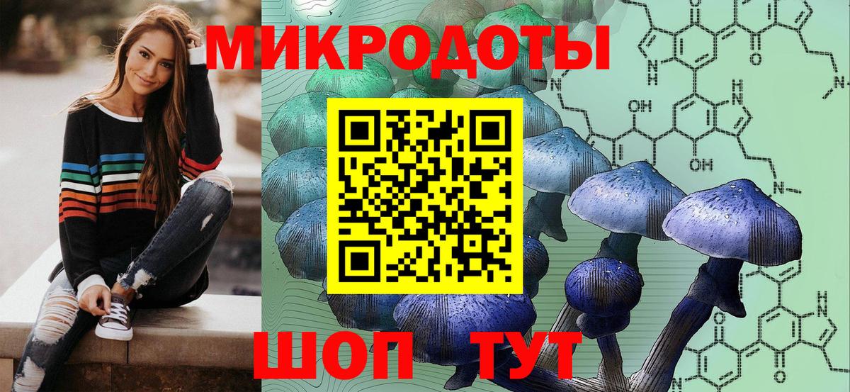 Дубна  Галлюциногенные грибы GOLDEN TEACHER  Псилоцибиновые грибы ЛСД  где купить наркотик  Вход с VPN 