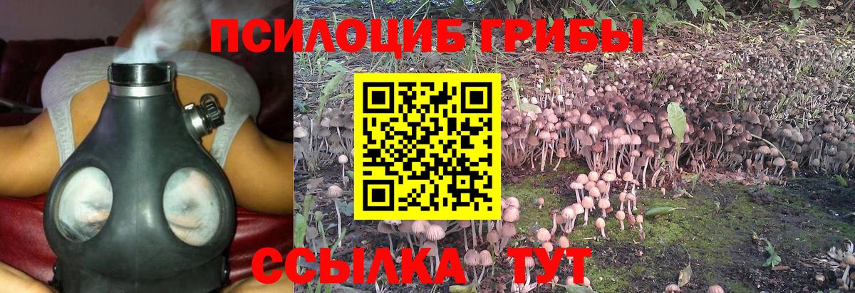 Галлюциногенные грибы мухоморы Дубна